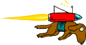 The Rocket Garden